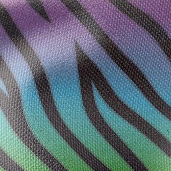 Rainbow Texture Waterproof Canvas