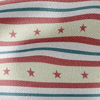 Striped Star Waterproof Canvas