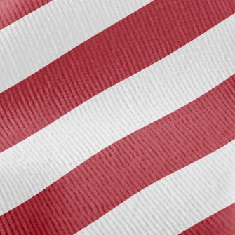 Simple Two-Color Stripes Standard Corduroy