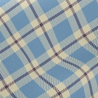 Clean And Tidy Plaid Twill