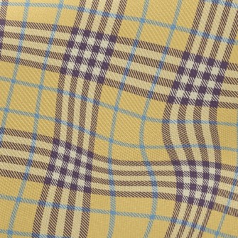 Trendy Tartan Twill