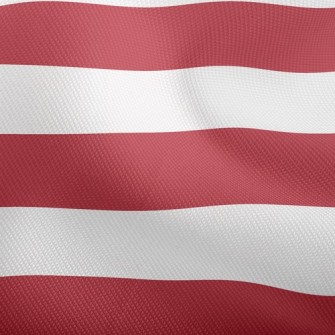Simple Two-Color Stripes Dobby