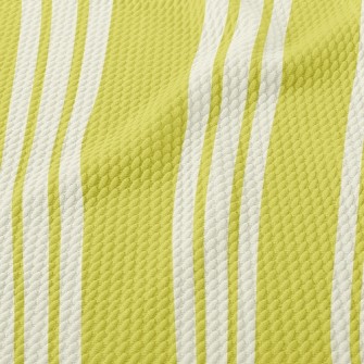 Thick And Thin Stripes Birdseye Piqué