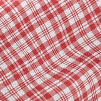 Red Striped Checkered Twill