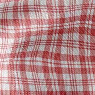 Red Striped Checkered Waterproof Canvas