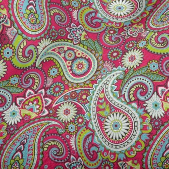 Changeable Pattern Minky
