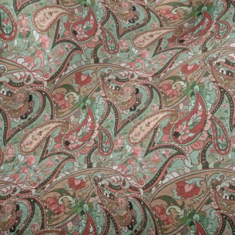 Changeable Patterns Minky