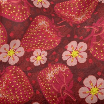 Sweetheart Bright Strawberries Minky