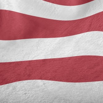 Simple Two-Color Stripes Minky