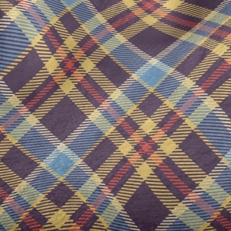 Cross Wind Lines Minky