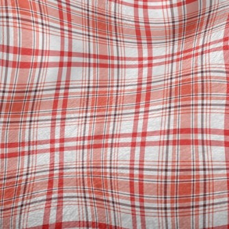 Contrasting Classic Check Minky