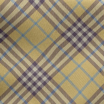 Trendy Tartan Jersey Backed Fleece