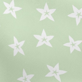 Fresh Carambola Pongee