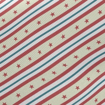 Striped Star Midweight Cotton Poplin