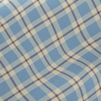 Clean And Tidy Plaid Midweight Cotton Poplin