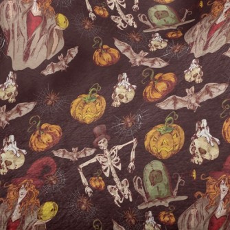 Halloween Witch Minky