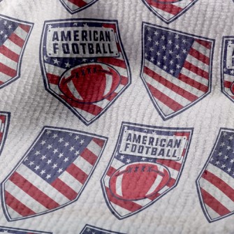 American Football Terry