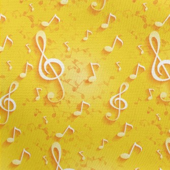Big Note Sheet Music Pongee