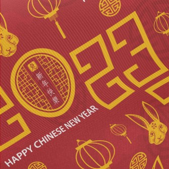 Chinese 2023 Pattern Twill
