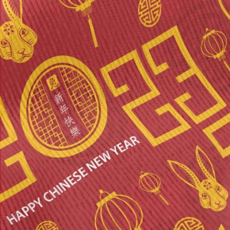Chinese 2023 Pattern Standard Corduroy