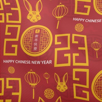 Chinese 2023 Pattern Dobby