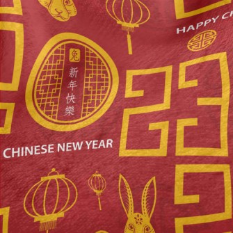 Chinese 2023 Pattern Minky
