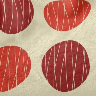 Red Polka Dot Decoration Minky