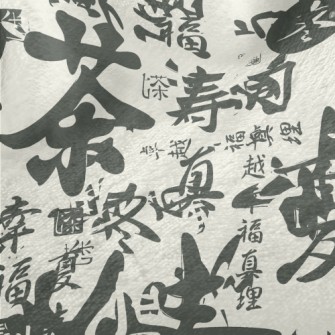 Oriental Calligraphy Minky