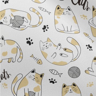 Cute Entertainment Home Cat Chiffon