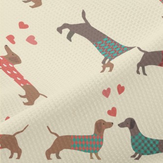 Dachshund Wearing Plaid Coat Piqué