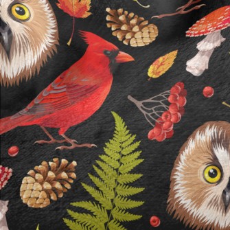 Realistic Hand Drawn Owl And C Minky