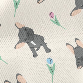 Black Pet French Bulldog Standard Corduroy