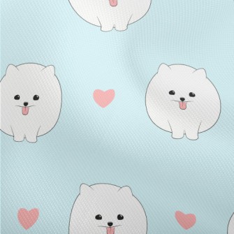 Cute White Pomeranian Dobby