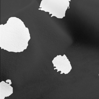 Black Dalmatian Pattern Micro Fleece