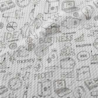 The Development Of Entrepreneu Birdseye Piqué