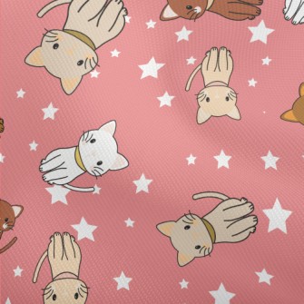 Cartoon Cat With Stars Dobby