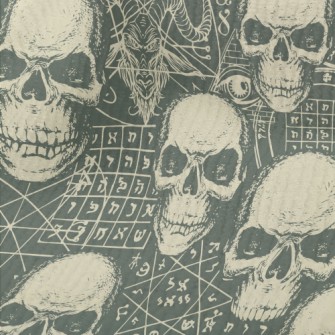 Fierce Skull Terry