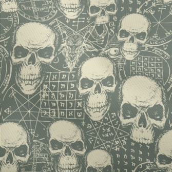 Fierce Skull Dobby