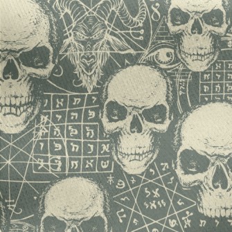Fierce Skull Jersey Backed Fleece