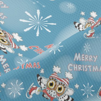 Gorgeous Skater Owl Piqué