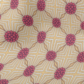 Beautiful Geometric Patterns Terry
