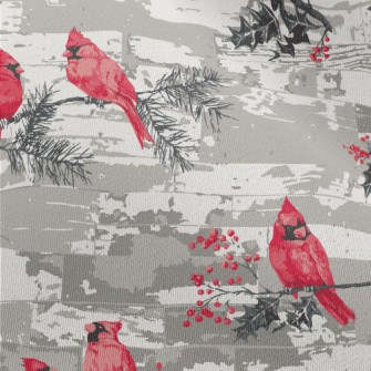 Beautiful Red Parrot Chiffon