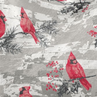 Beautiful Red Parrot Minky