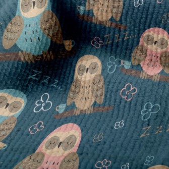 Sleeping Owl Terry