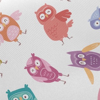 Colorful Owl Twill