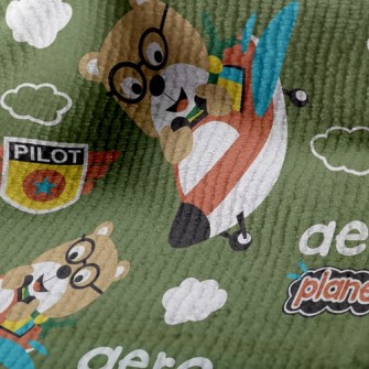 Bear Plane Terry