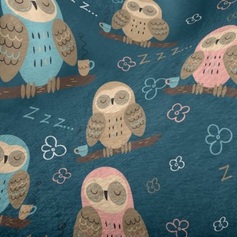 Sleeping Owl Minky