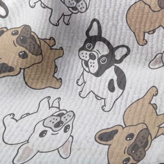 Cute Little Bulldog Terry