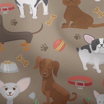A Home For Dogs Of All Types Dobby