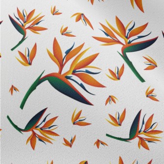 Beautiful Bird Of Paradise Chiffon